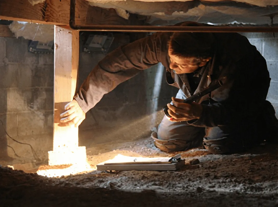 A professional inspecting wooden beams under the floor of a structure in Springfield, MO